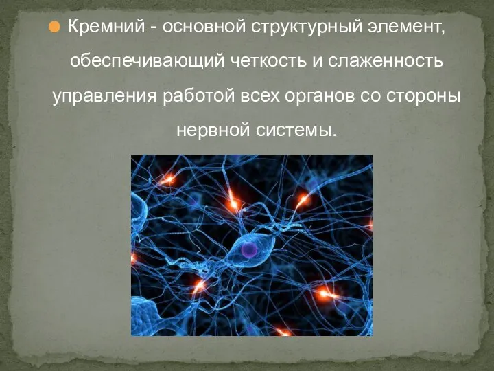 Кремний - основной структурный элемент, обеспечивающий четкость и слаженность управления работой