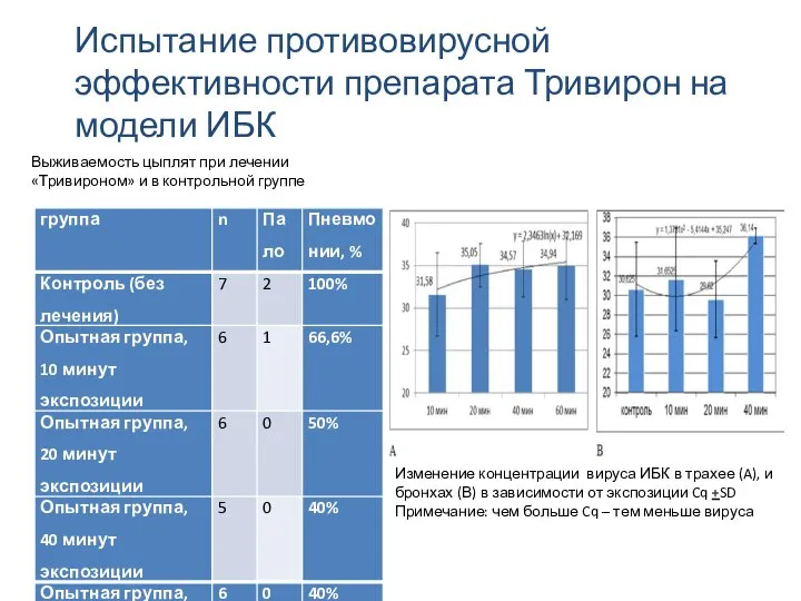 Испытание противовирусной эффективности препарата Тривирон на модели ИБК Изменение концентрации вируса