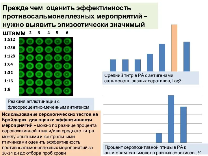 1 2 3 4 5 6 Прежде чем оценить эффективность противосальмонеллезных