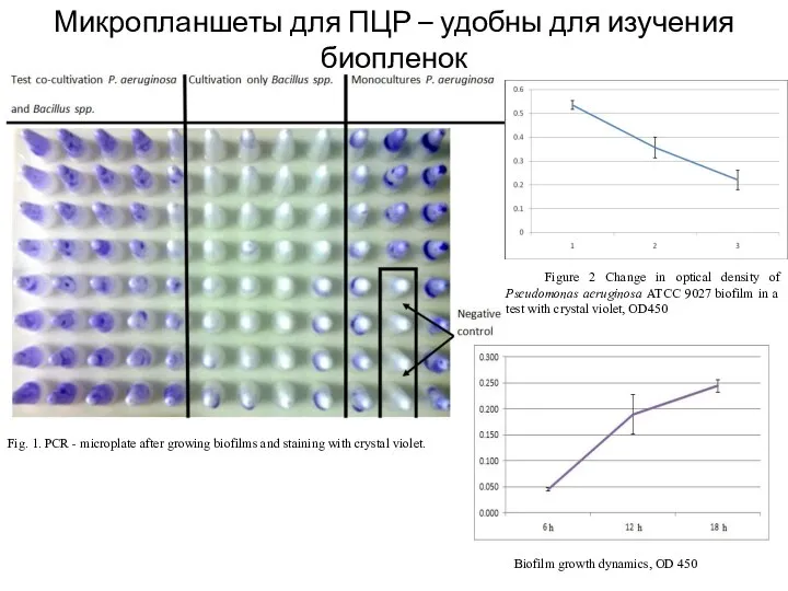 Микропланшеты для ПЦР – удобны для изучения биопленок Fig. 1. PCR