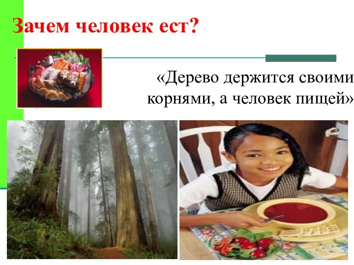 «Дерево держится своими корнями, а человек пищей» Зачем человек ест?