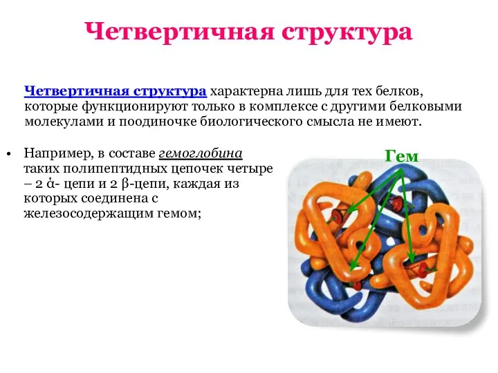 Четвертичная структура Например, в составе гемоглобина таких полипептидных цепочек четыре –