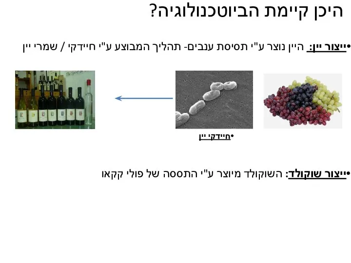 היכן קיימת הביוטכנולוגיה? ייצור שוקולד: השוקולד מיוצר ע"י התססה של פולי קקאו