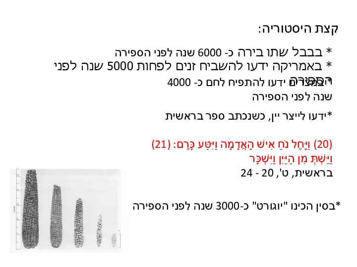 קצת היסטוריה: * בבבל שתו בירה כ- 6000 שנה לפני הספירה