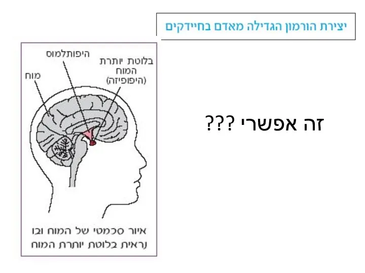 זה אפשרי ???