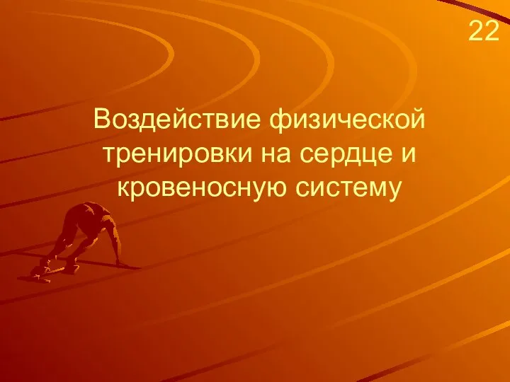 Воздействие физической тренировки на сердце и кровеносную систему 22