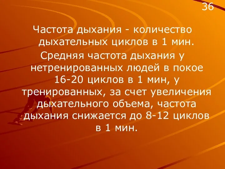 Частота дыхания - количество дыхательных циклов в 1 мин. Средняя частота