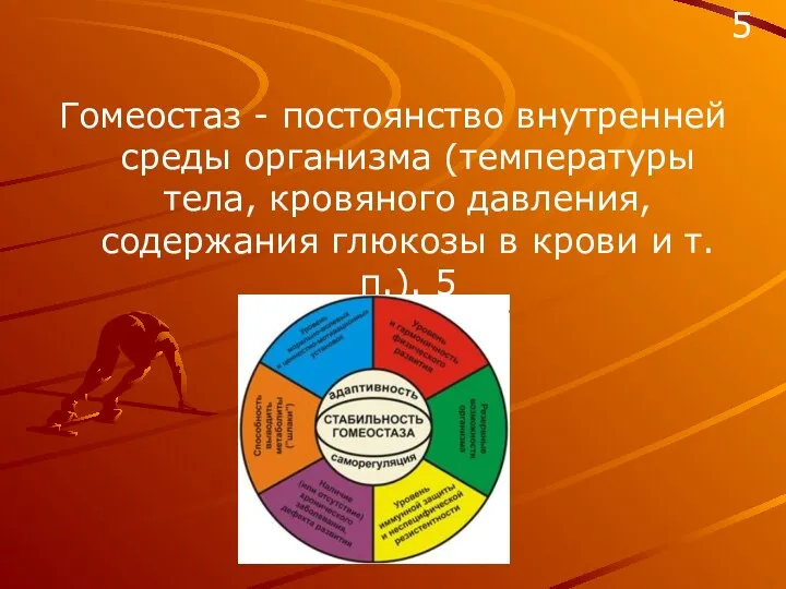 Гомеостаз - постоянство внутренней среды организма (температуры тела, кровяного давления, содержания