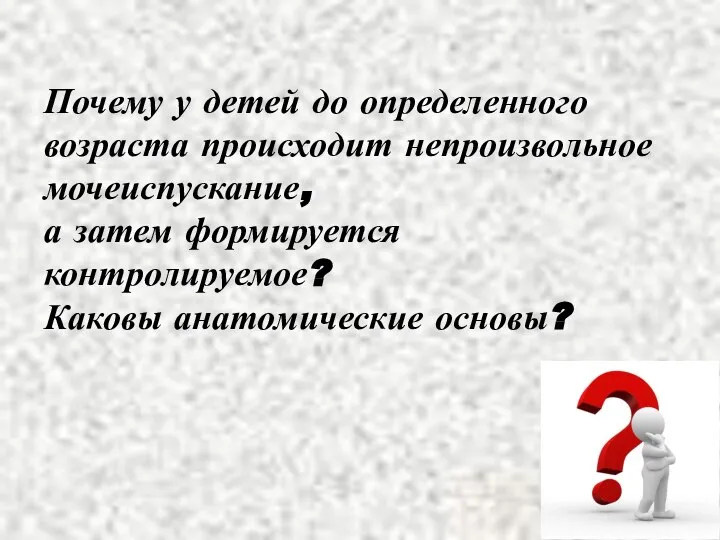 Почему у детей до определенного возраста происходит непроизвольное мочеиспускание, а затем формируется контролируемое? Каковы анатомические основы?