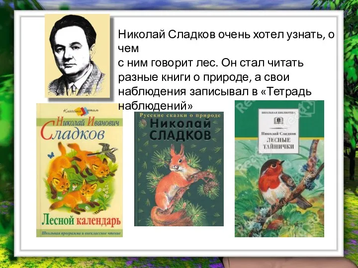 Николай Сладков очень хотел узнать, о чем с ним говорит лес.