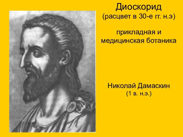 Диоскорид (расцвет в 30-е гг. н.э) прикладная и медицинская ботаника Николай Дамаскин (1 в. н.э.)