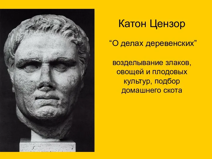 Катон Цензор “О делах деревенских” возделывание злаков, овощей и плодовых культур, подбор домашнего скота