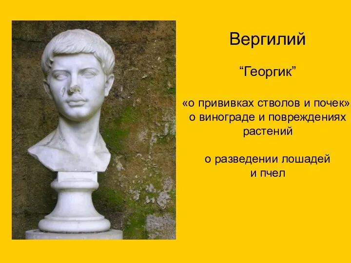 Вергилий “Георгик” «о прививках стволов и почек», о винограде и повреждениях