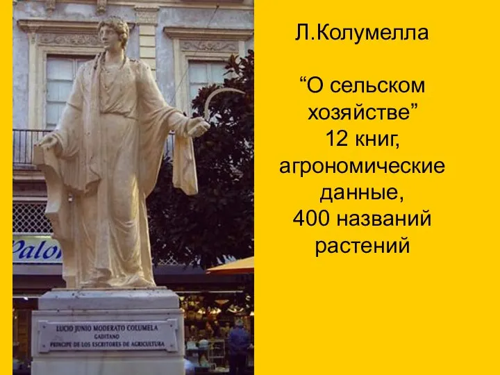 Л.Колумелла “О сельском хозяйстве” 12 книг, агрономические данные, 400 названий растений