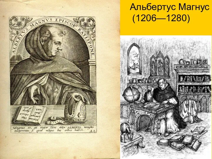 Альбертус Магнус (1206—1280)