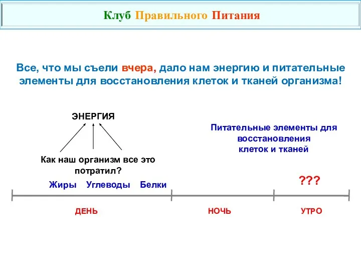 Все, что мы съели вчера, дало нам энергию и питательные элементы