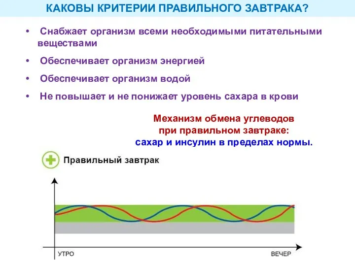 Снабжает организм всеми необходимыми питательными веществами Обеспечивает организм энергией Обеспечивает организм