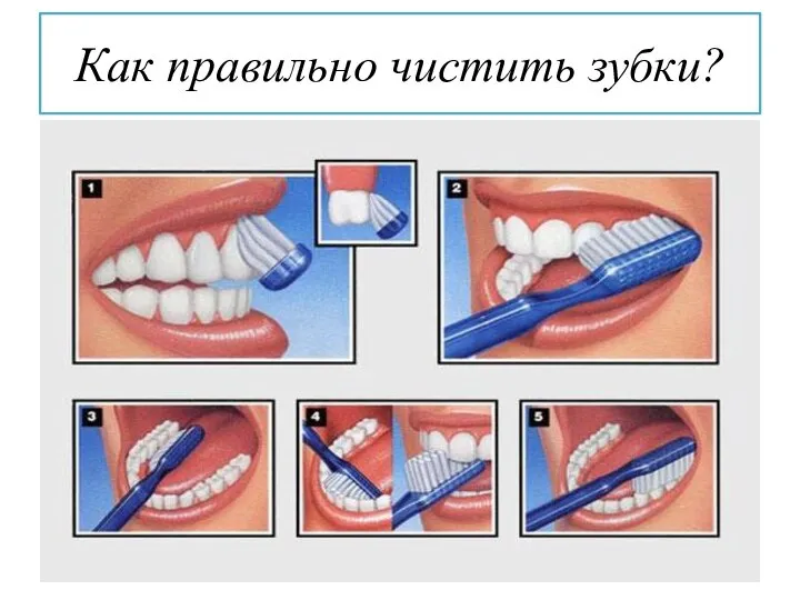 Как правильно чистить зубки?