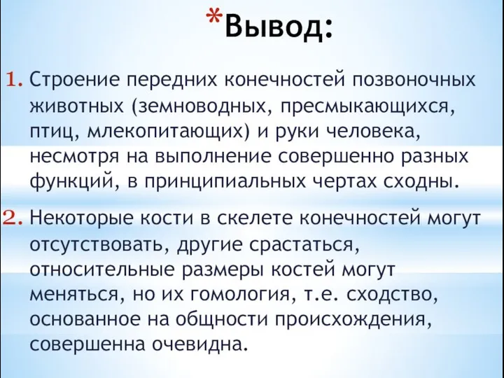 Вывод: Строение передних конечностей позвоночных животных (земноводных, пресмыкающихся, птиц, млекопитающих) и