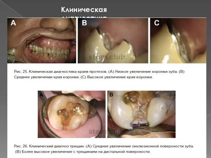 Клиническая диагностика