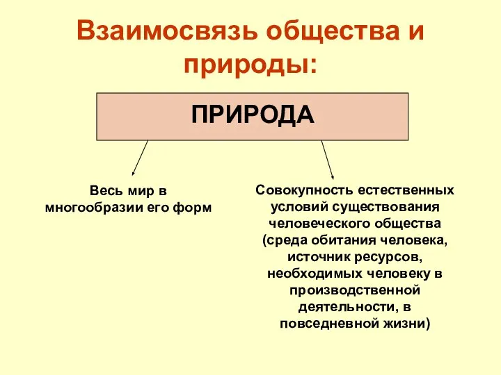 Взаимосвязь общества и природы: ПРИРОДА Весь мир в многообразии его форм