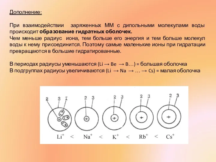 Дополнение: При взаимодействии заряженных ММ с дипольными молекулами воды происходит образование