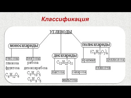 Классификация