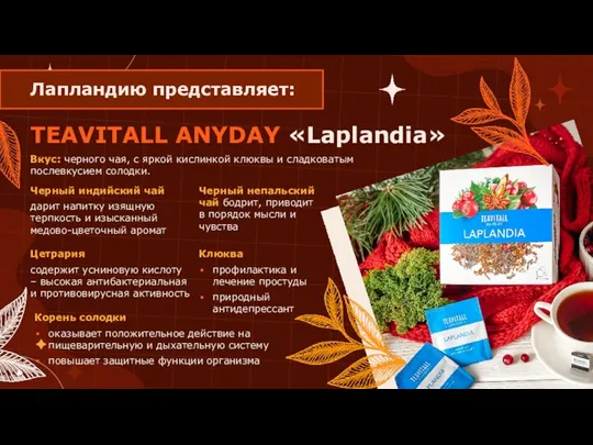 TEAVITALL ANYDAY «Laplandia» Вкус: черного чая, с яркой кислинкой клюквы и