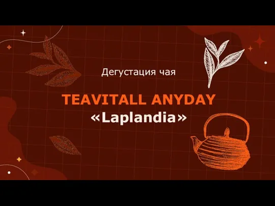 Дегустация чая TEAVITALL ANYDAY «Laplandia»