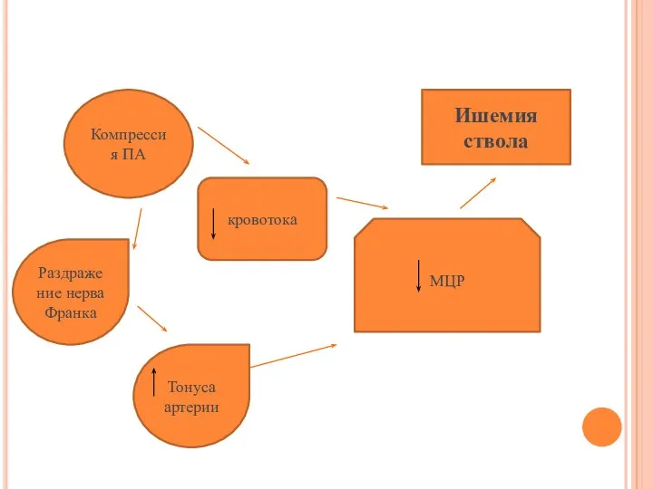 Компрессия ПА Раздражение нерва Франка Тонуса артерии кровотока МЦР Ишемия ствола