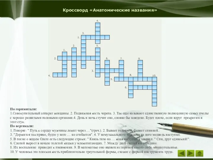 Кроссворд «Анатомические названия» По горизонтали: 1.Совокупительный аппарат женщины. 2. Подвижная кость