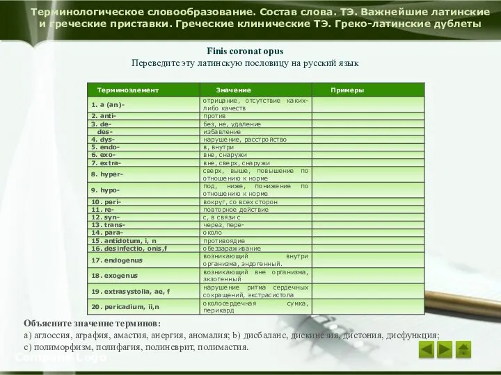 Терминологическое словообразование. Состав слова. ТЭ. Важнейшие латинские и греческие приставки. Греческие