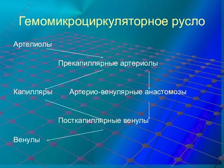 Гемомикроциркуляторное русло Артелиолы Прекапиллярные артериолы Капилляры Артерио-венулярные анастомозы Посткапиллярные венулы Венулы