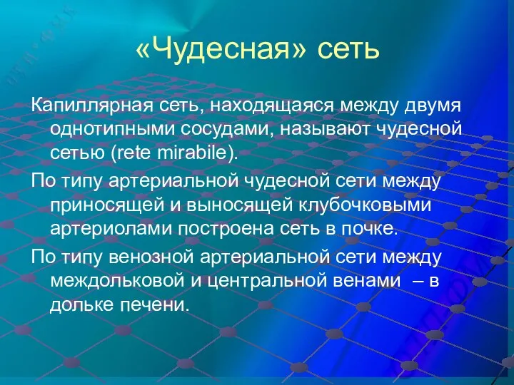 «Чудесная» сеть Капиллярная сеть, находящаяся между двумя однотипными сосудами, называют чудесной