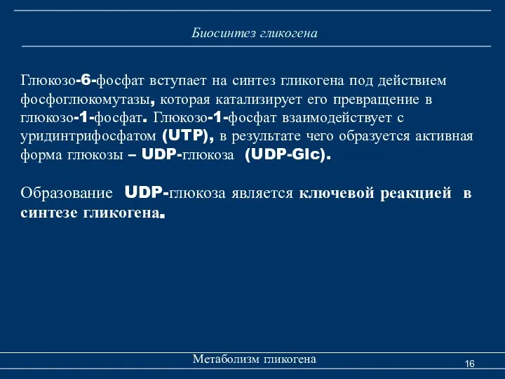 Биосинтез гликогена Метаболизм гликогена Глюкозо-6-фосфат вступает на синтез гликогена под действием