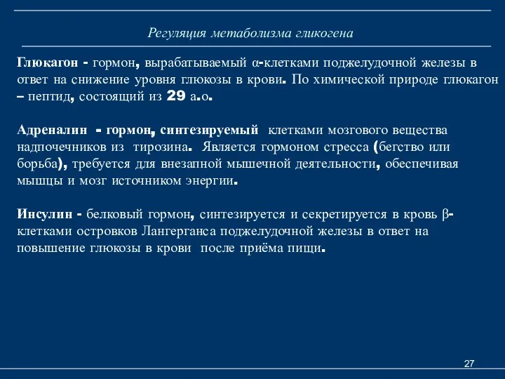 Регуляция метаболизма гликогена Глюкагон - гормон, вырабатываемый α-клетками поджелудочной железы в