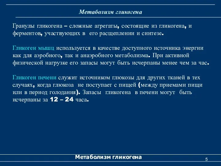 Метаболизм гликогена Метаболизм гликогена Гранулы гликогена – сложные агрегаты, состоящие из