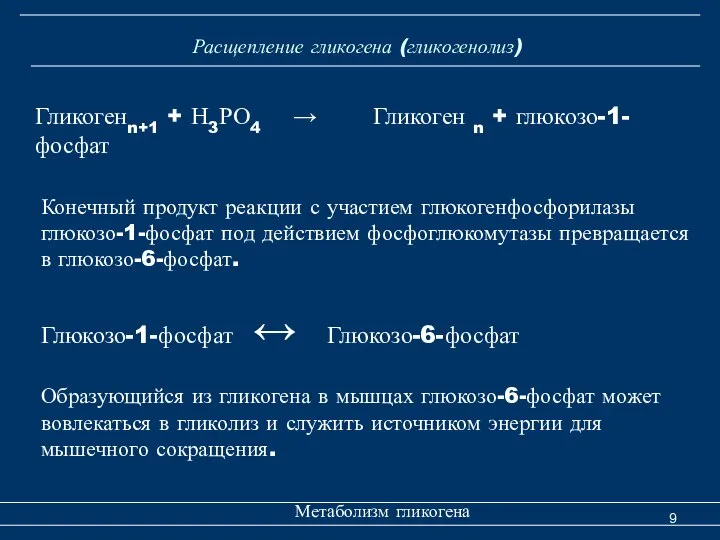 Расщепление гликогена (гликогенолиз) Метаболизм гликогена Гликогенn+1 + Н3РО4 → Гликоген n