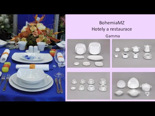 BohemiaMZ Hotely a restaurace Gamma