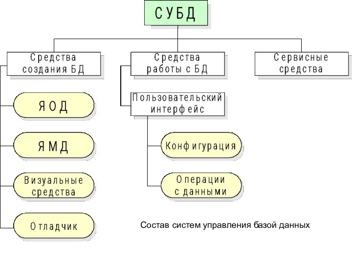 Состав систем управления базой данных