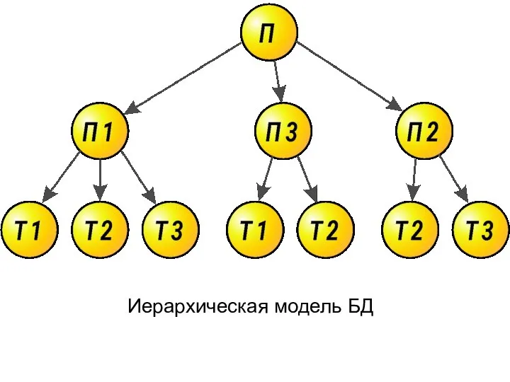 Иерархическая модель БД