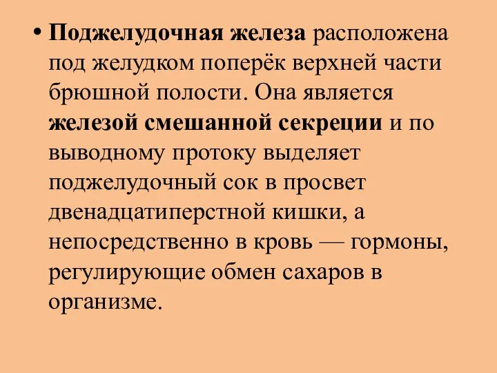 Поджелудочная железа расположена под желудком поперёк верхней части брюшной полости. Она