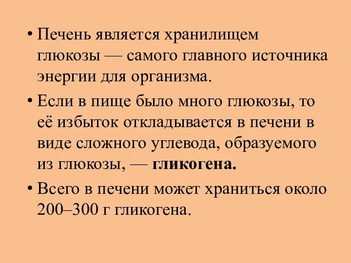 Печень является хранилищем глюкозы — самого главного источника энергии для организма.