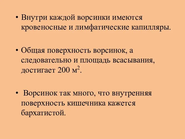 Внутри каждой ворсинки имеются кровеносные и лимфатические капилляры. Общая поверхность ворсинок,