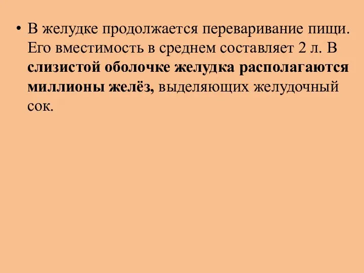 В желудке продолжается переваривание пищи. Его вместимость в среднем составляет 2