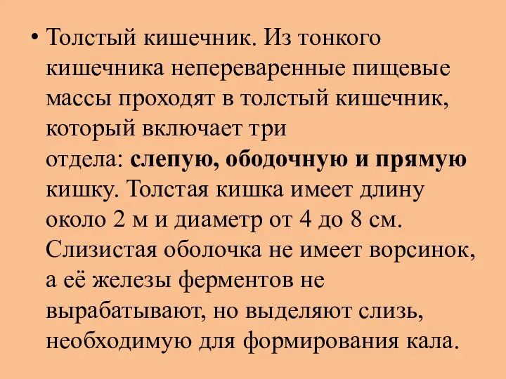 Толстый кишечник. Из тонкого кишечника непереваренные пищевые массы проходят в толстый