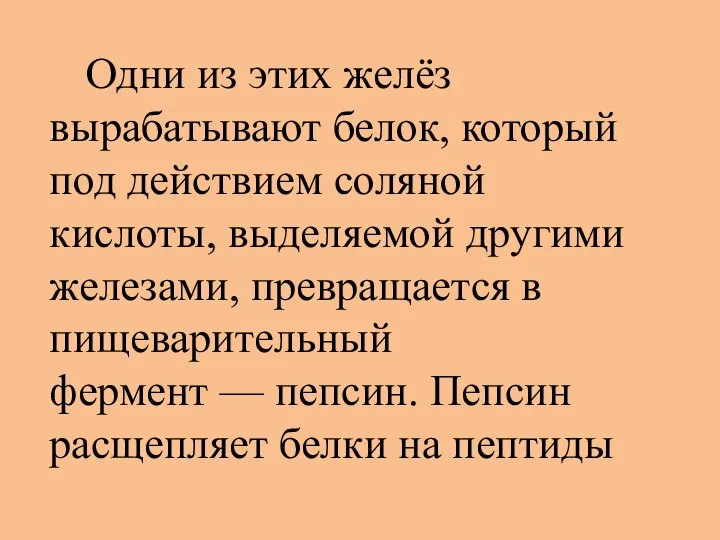 Одни из этих желёз вырабатывают белок, который под действием соляной кислоты,