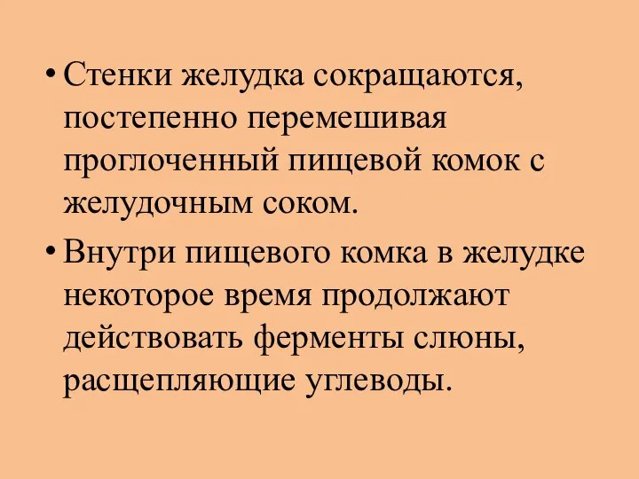 Стенки желудка сокращаются, постепенно перемешивая проглоченный пищевой комок с желудочным соком.