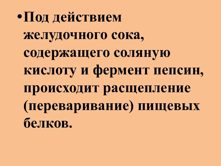 Под действием желудочного сока, содержащего соляную кислоту и фермент пепсин, происходит расщепление (переваривание) пищевых белков.