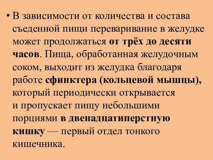 В зависимости от количества и состава съеденной пищи переваривание в желудке